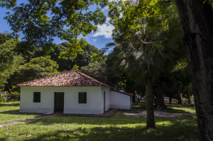 Imagem: Foto de paisagem, com a casa onde nasceu o ecsritor José de alnecar oa fundo, entre árvores. A casa é branca com uma porta e duas janelas (Foto: Viktor Braga/UFC)